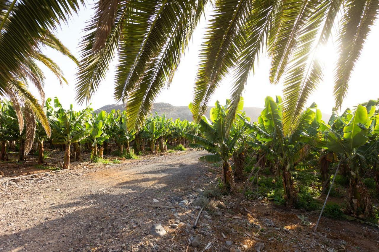 Casita 1, Caserio De Guaza Palm-mar Exteriér fotografie
